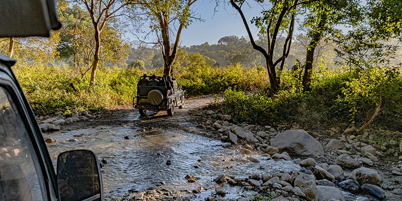 Jungle safari vehicle inside Jim Corbett Tiger Reserve India