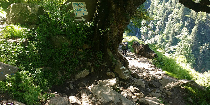 Kheerganga Trek Guide