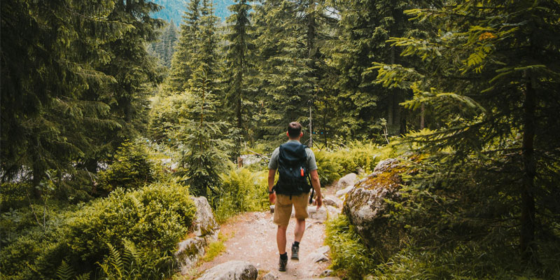 Kheerganga Trek Guide