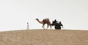 Jaisalmer Travel Guide 2026: Best Places to Visit & Complete Itinerary